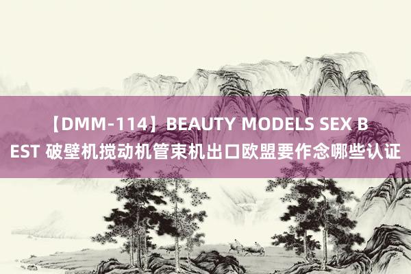 【DMM-114】BEAUTY MODELS SEX BEST 破壁机搅动机管束机出口欧盟要作念哪些认证