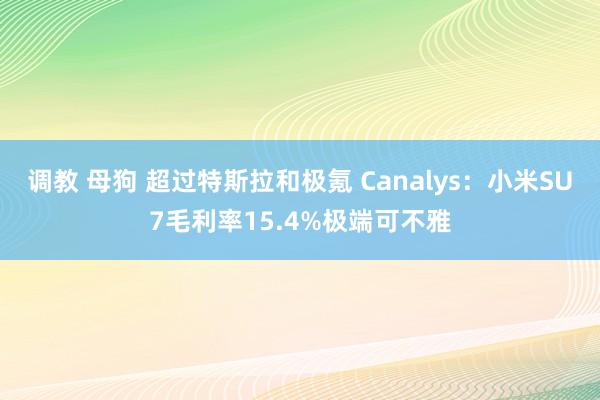 调教 母狗 超过特斯拉和极氪 Canalys：小米SU7毛利率15.4%极端可不雅