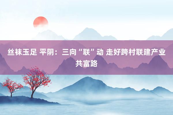 丝袜玉足 平阴：三向“联”动 走好跨村联建产业共富路