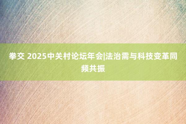 拳交 2025中关村论坛年会|法治需与科技变革同频共振