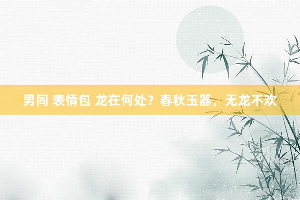 男同 表情包 龙在何处？春秋玉器，无龙不欢